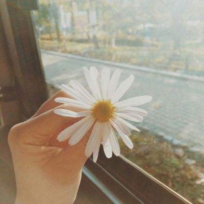我在大宋当王爷手游下载
